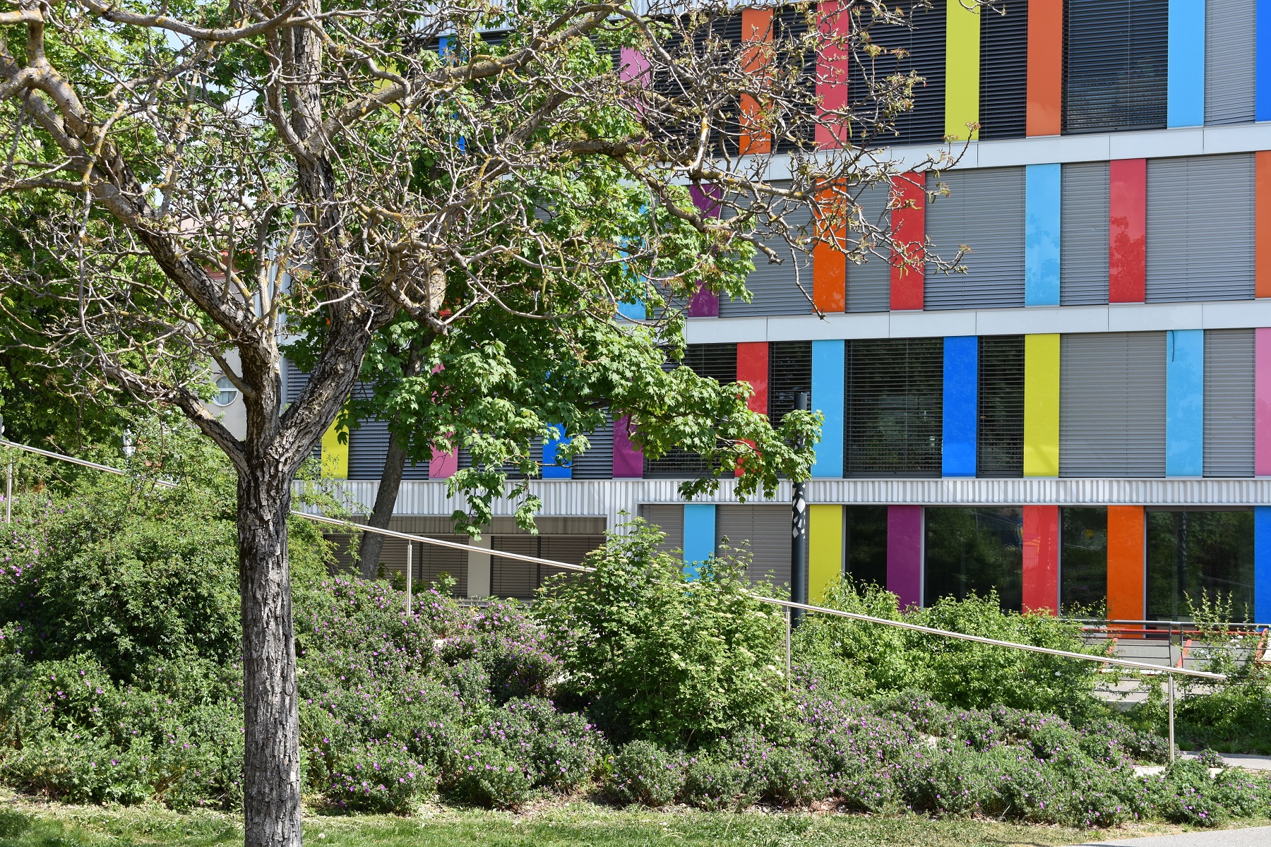 bâtiment colore