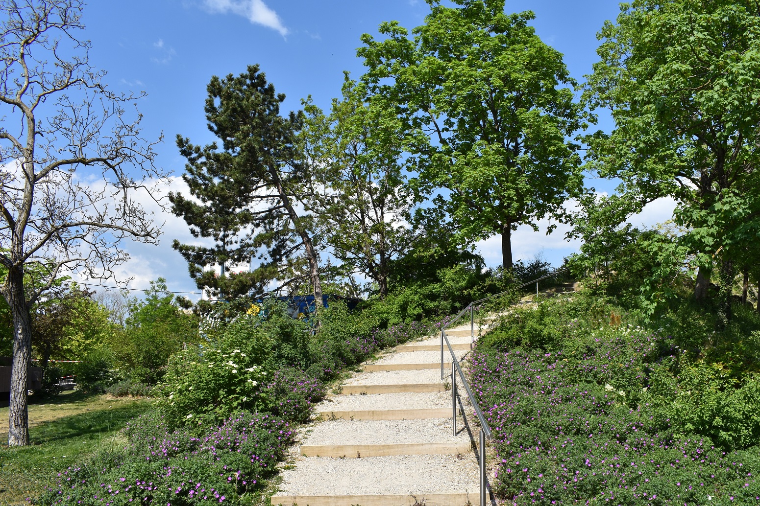 escalier parc louis bertrand